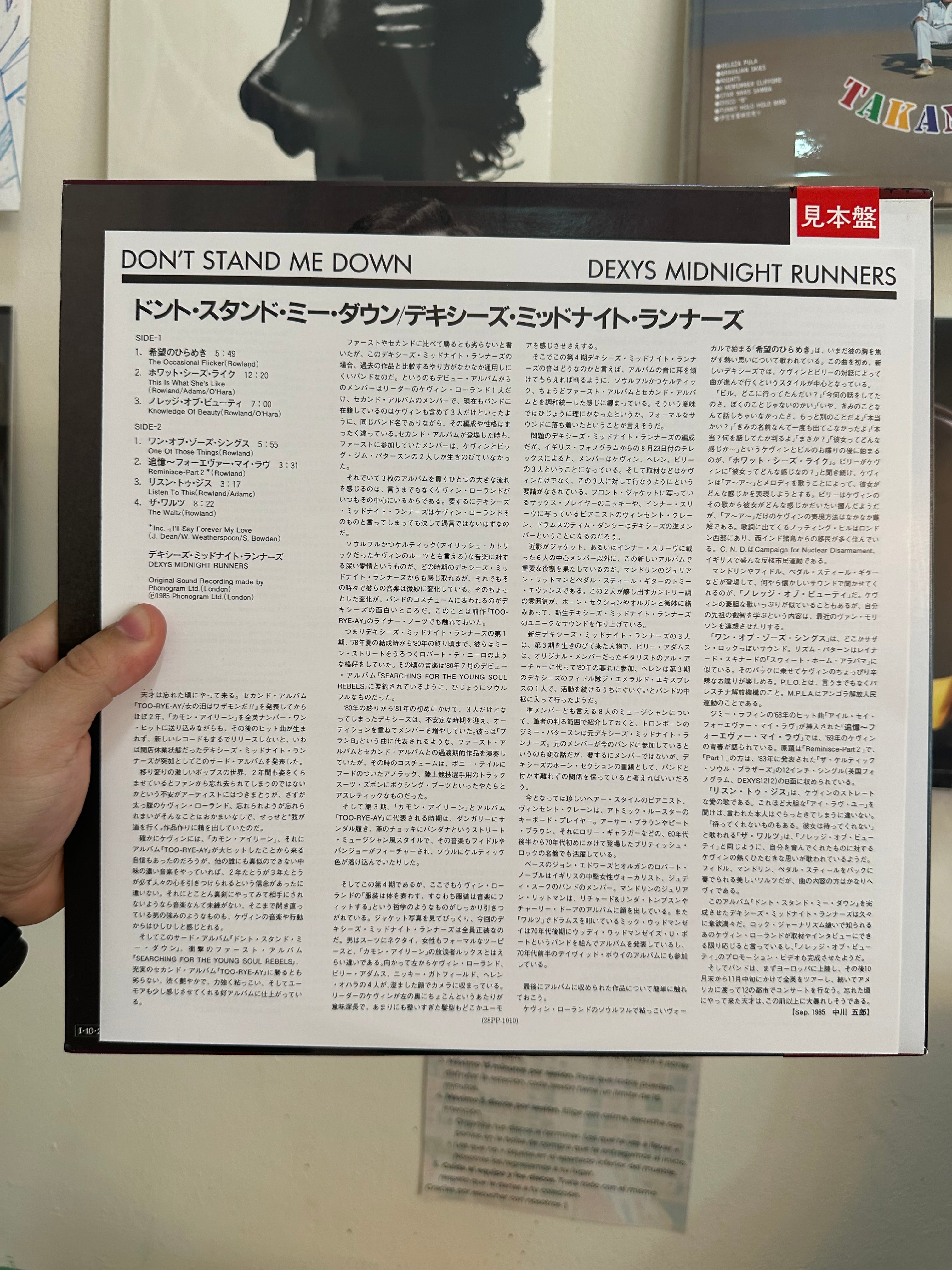 Dexys Midnight Runners – Don't Stand Me Down (JPN-1985)