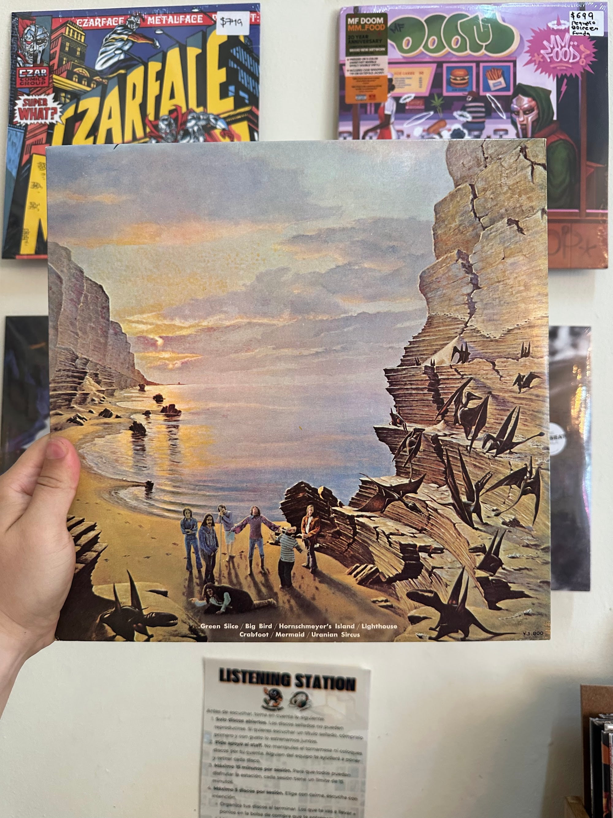 The Flock Dinosaur Swamps contraportada