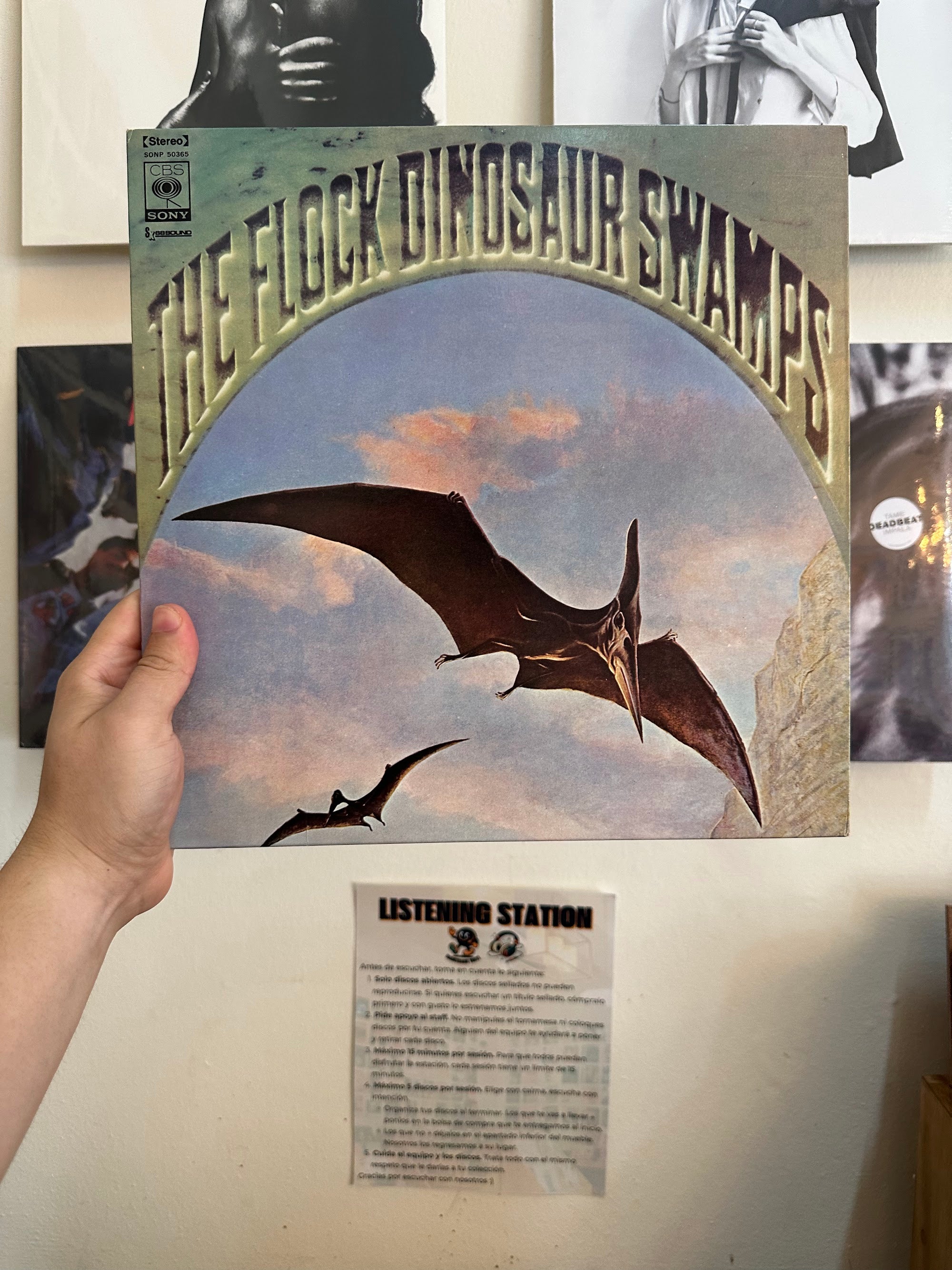 The Flock Dinosaur Swamps portada