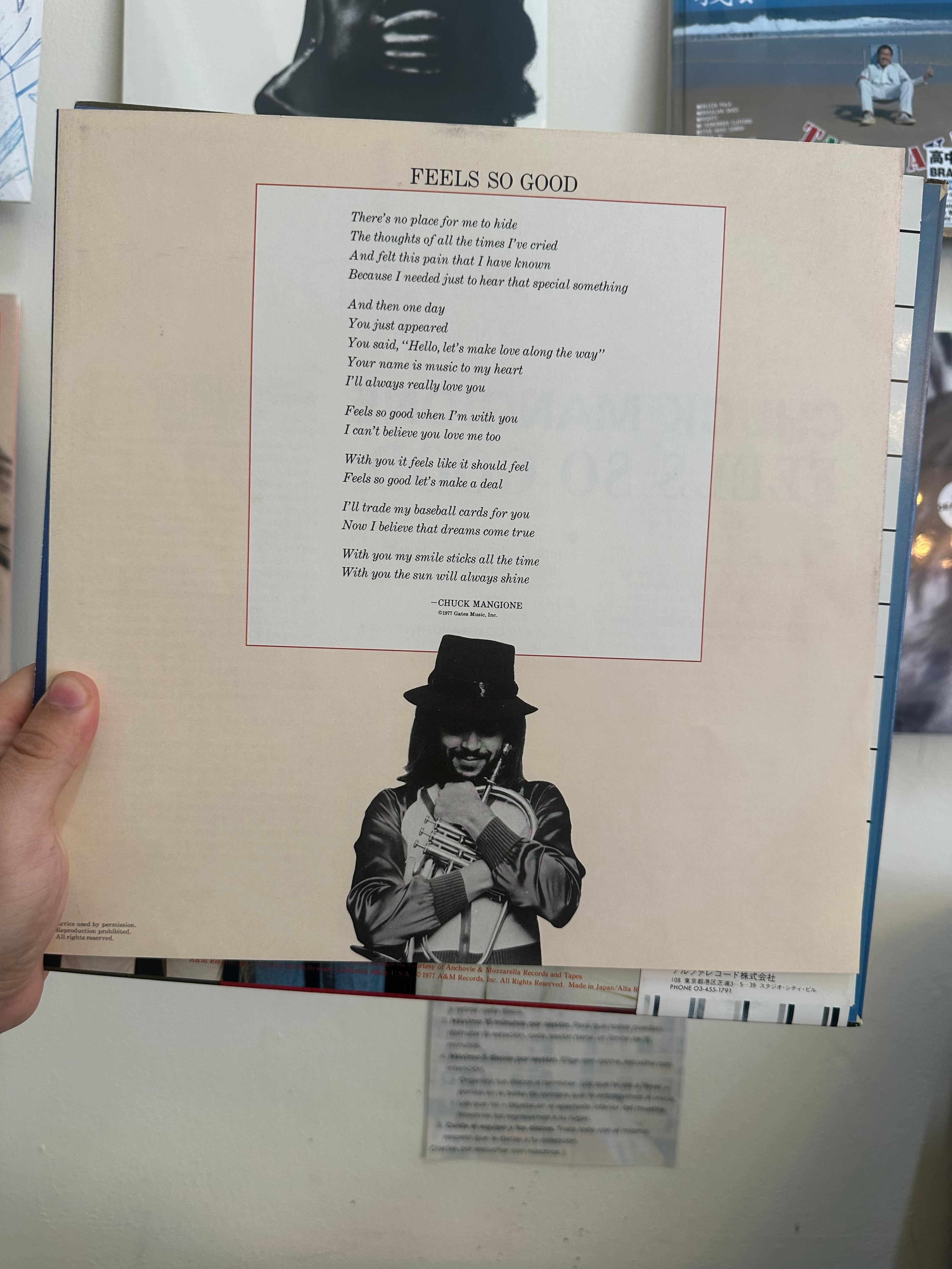 Chuck Mangione – Feels So Good (JPN-1979)