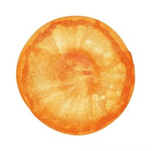 FISHMANS - UCHU (UNIVERSE): THE BEST OF FISHMANS (2LP/CLEAR ORANGE VINYL)