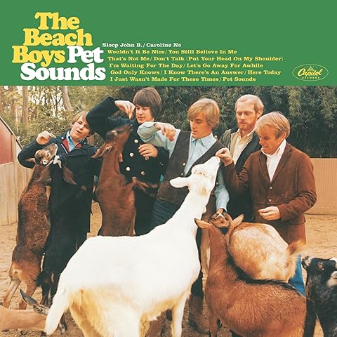 BEACH BOYS - PET SOUNDS (STEREO)