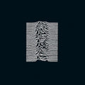 JOY DIVISION - UNKNOWN PLEASURES