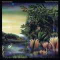 FLEETWOOD MAC - TANGO IN THE NIGHT