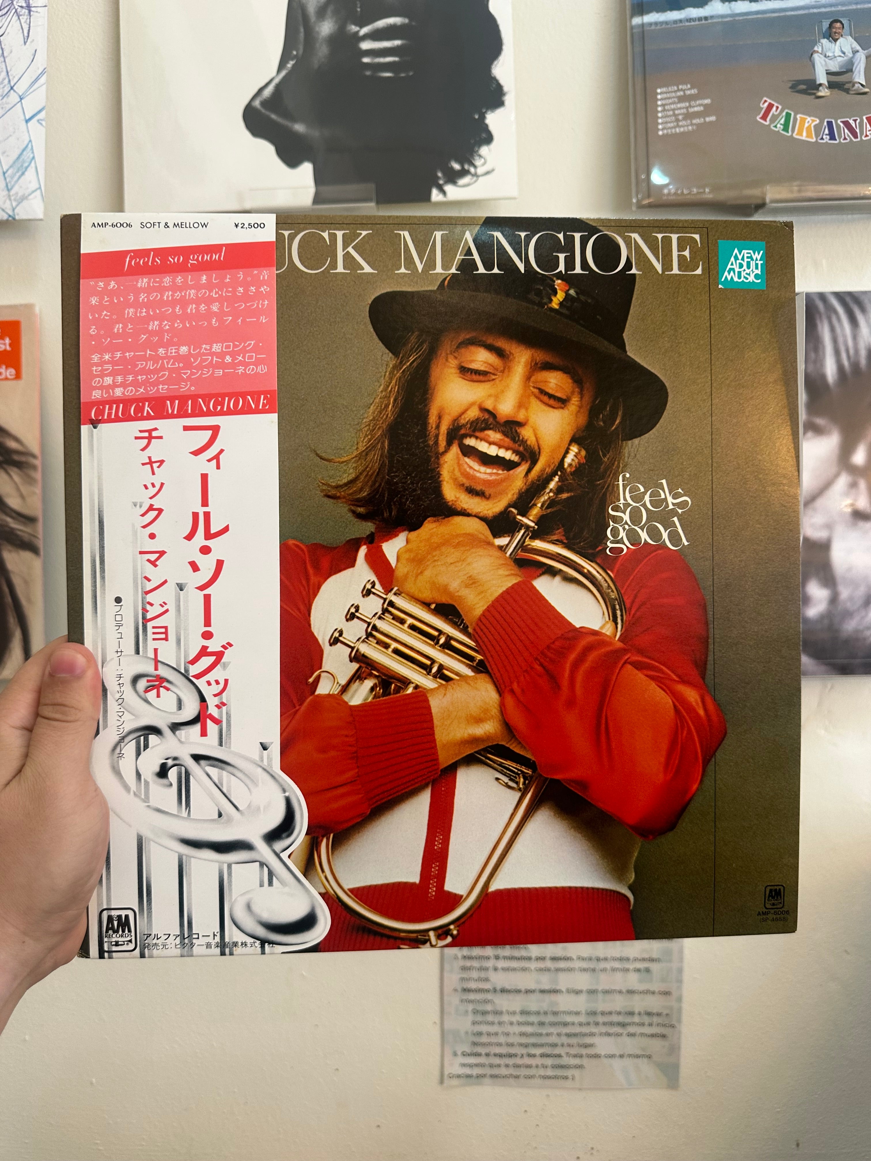 Chuck Mangione – Feels So Good (JPN-1979)