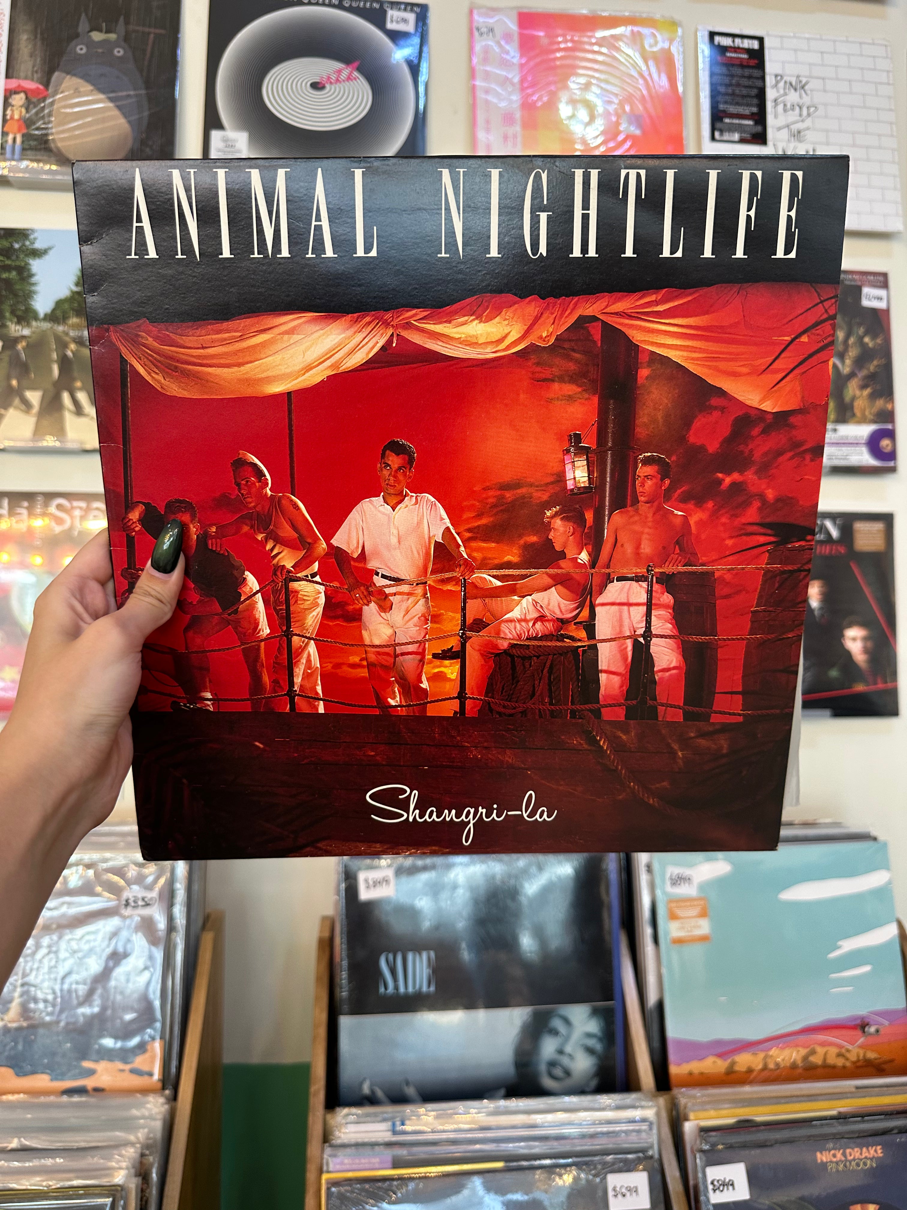 Animal Nightlife – Shangri-La (UK-1985)