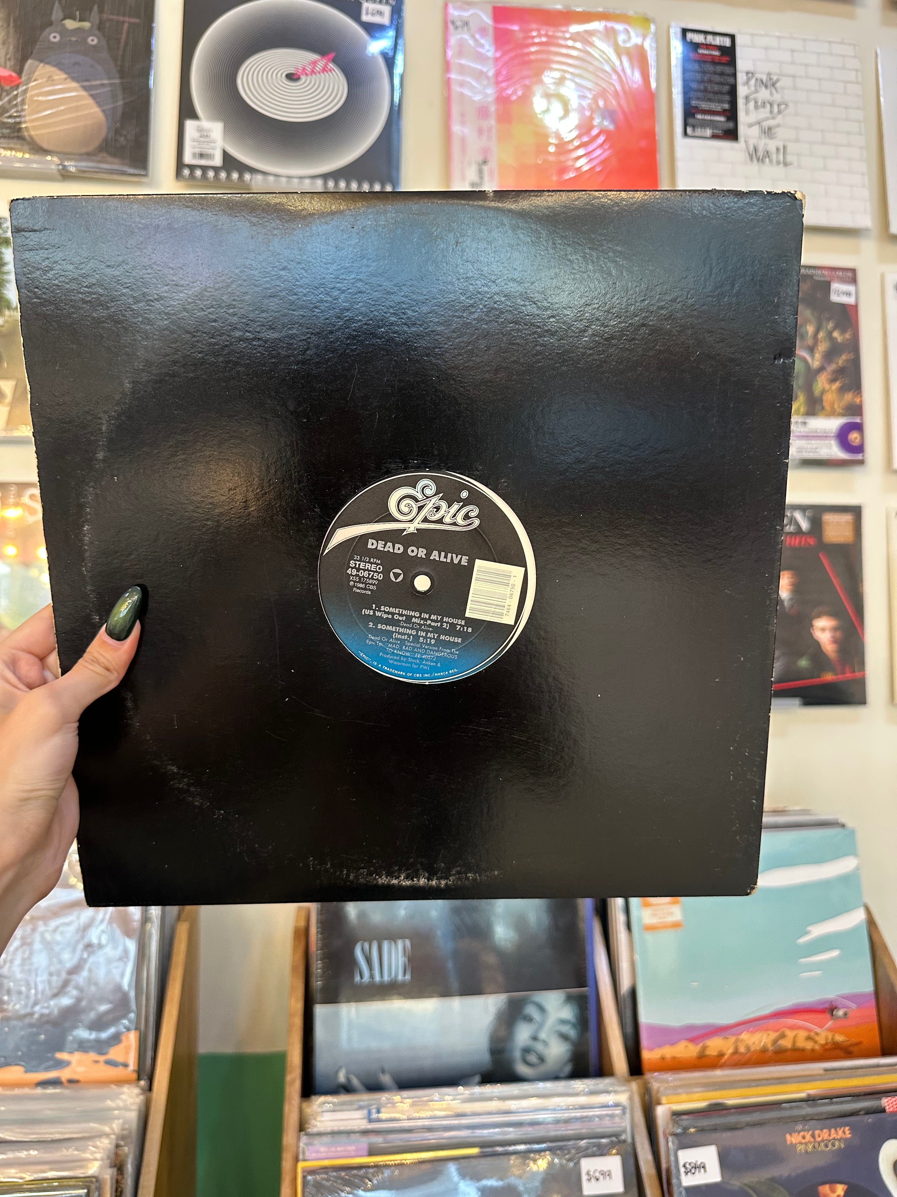 Dead Or Alive – Something In My House (US-1986)