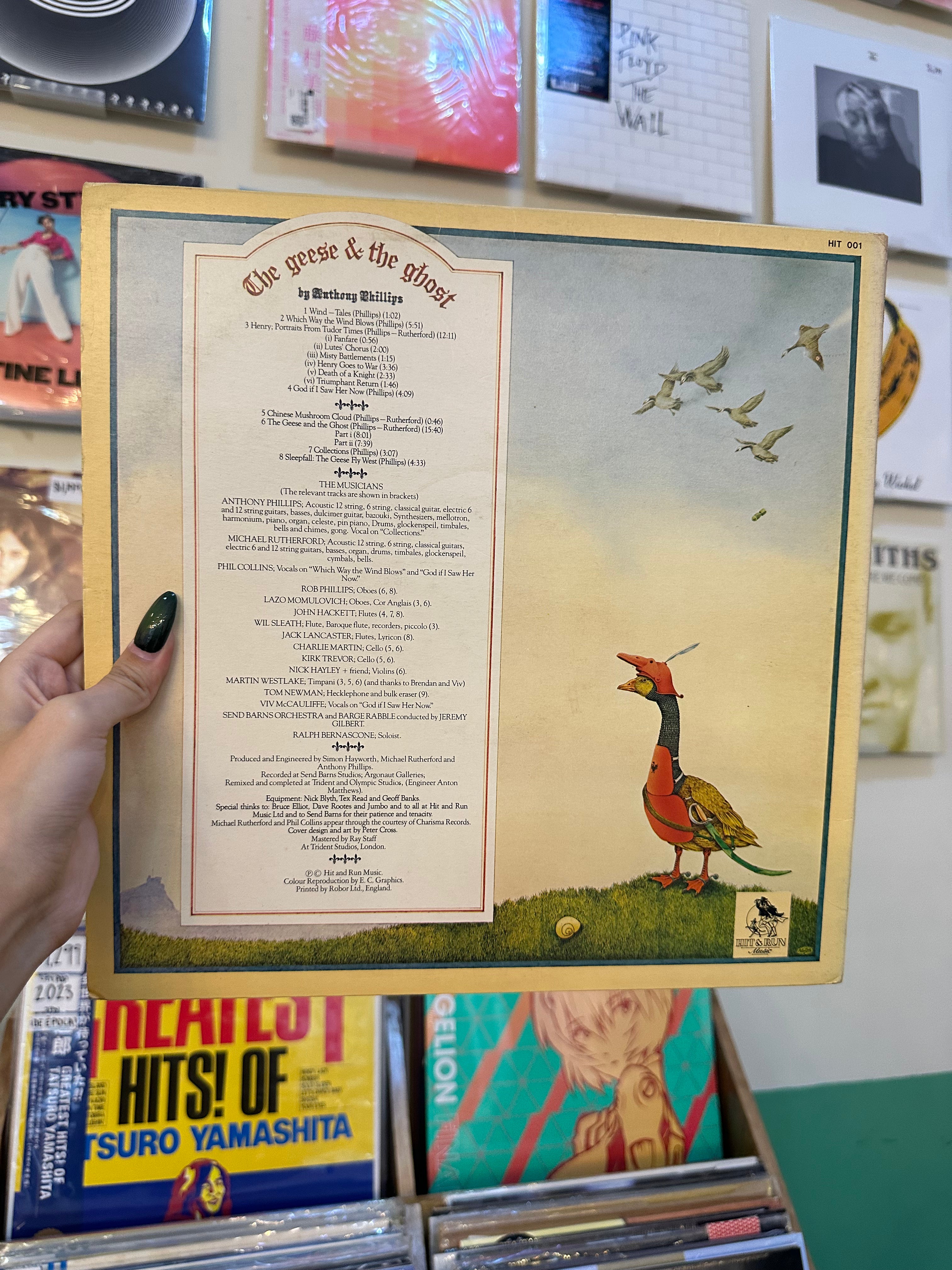 Anthony Phillips – The Geese & The Ghost (UK 1977)