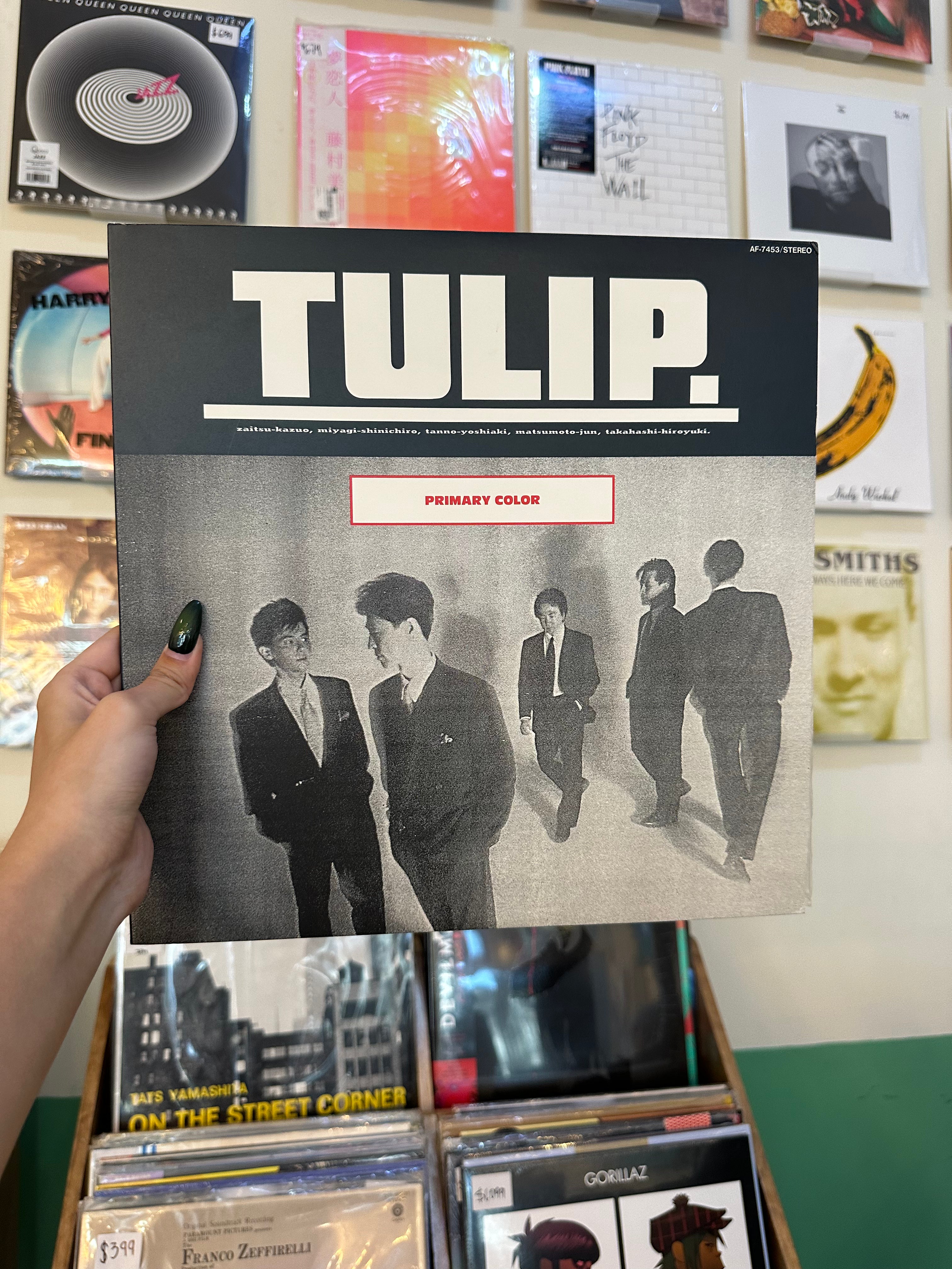 TULIP. – Primary Color (JPN 1987)