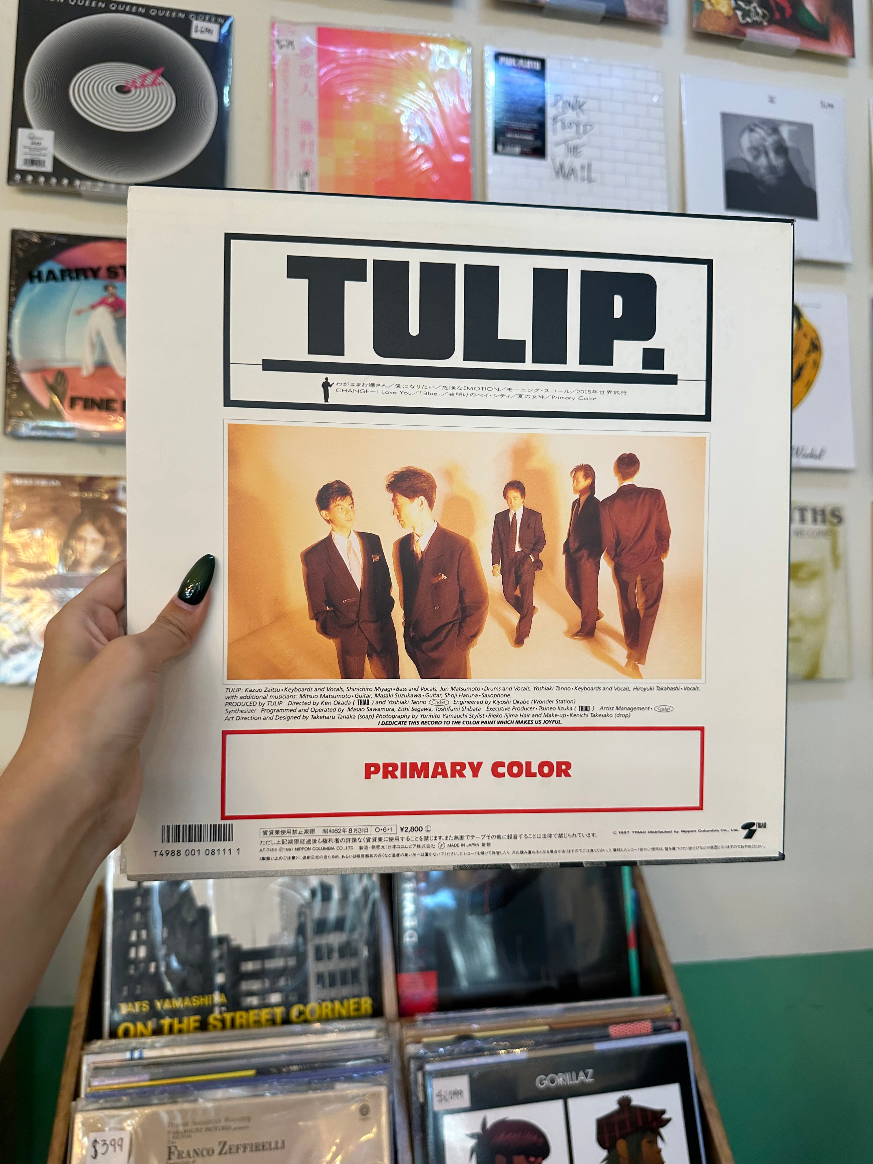 TULIP. – Primary Color (JPN 1987)