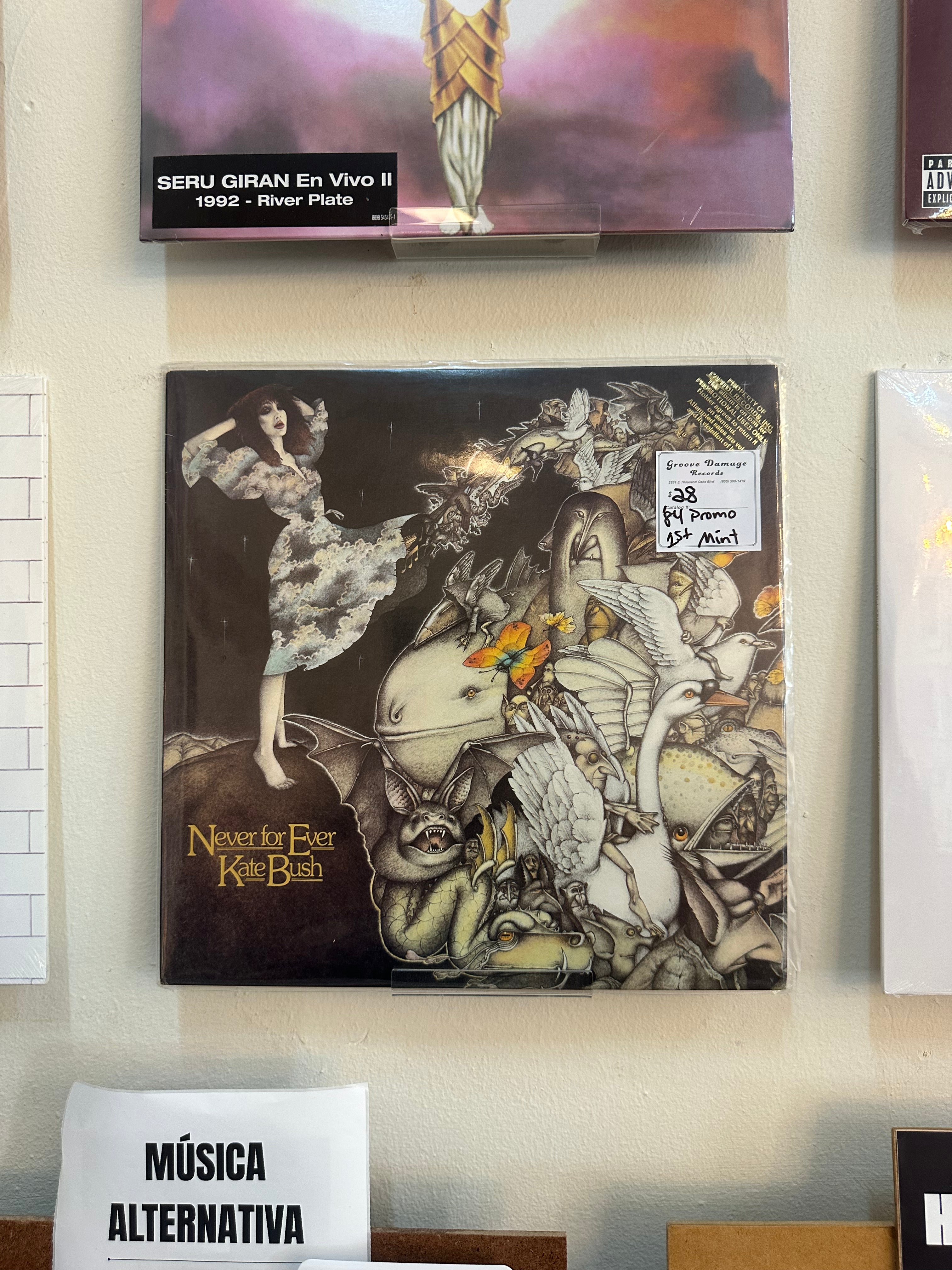 Kate Bush – Never For Ever (US 1984)