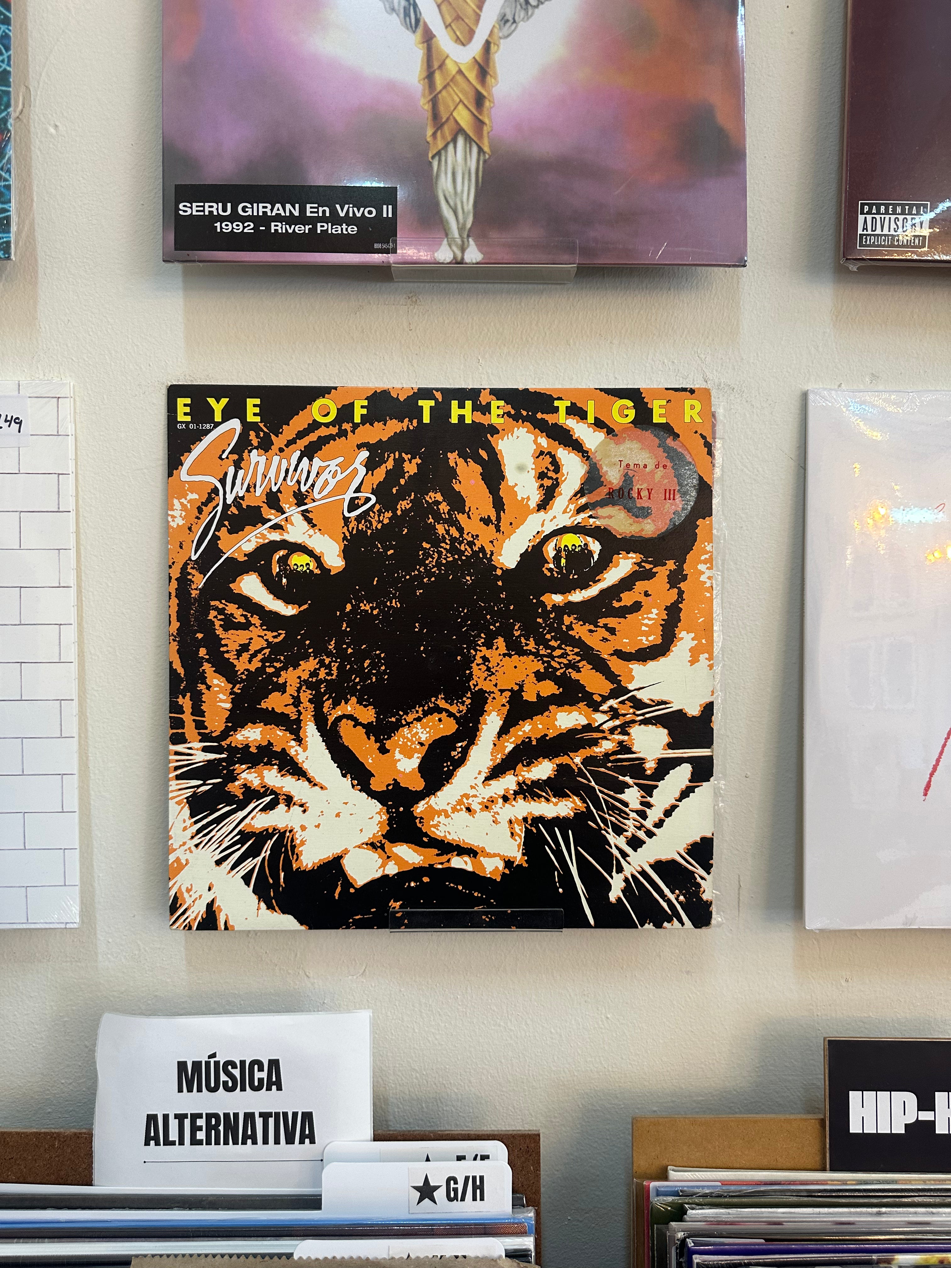 Survivor – Eye Of The Tiger (MX-1982)