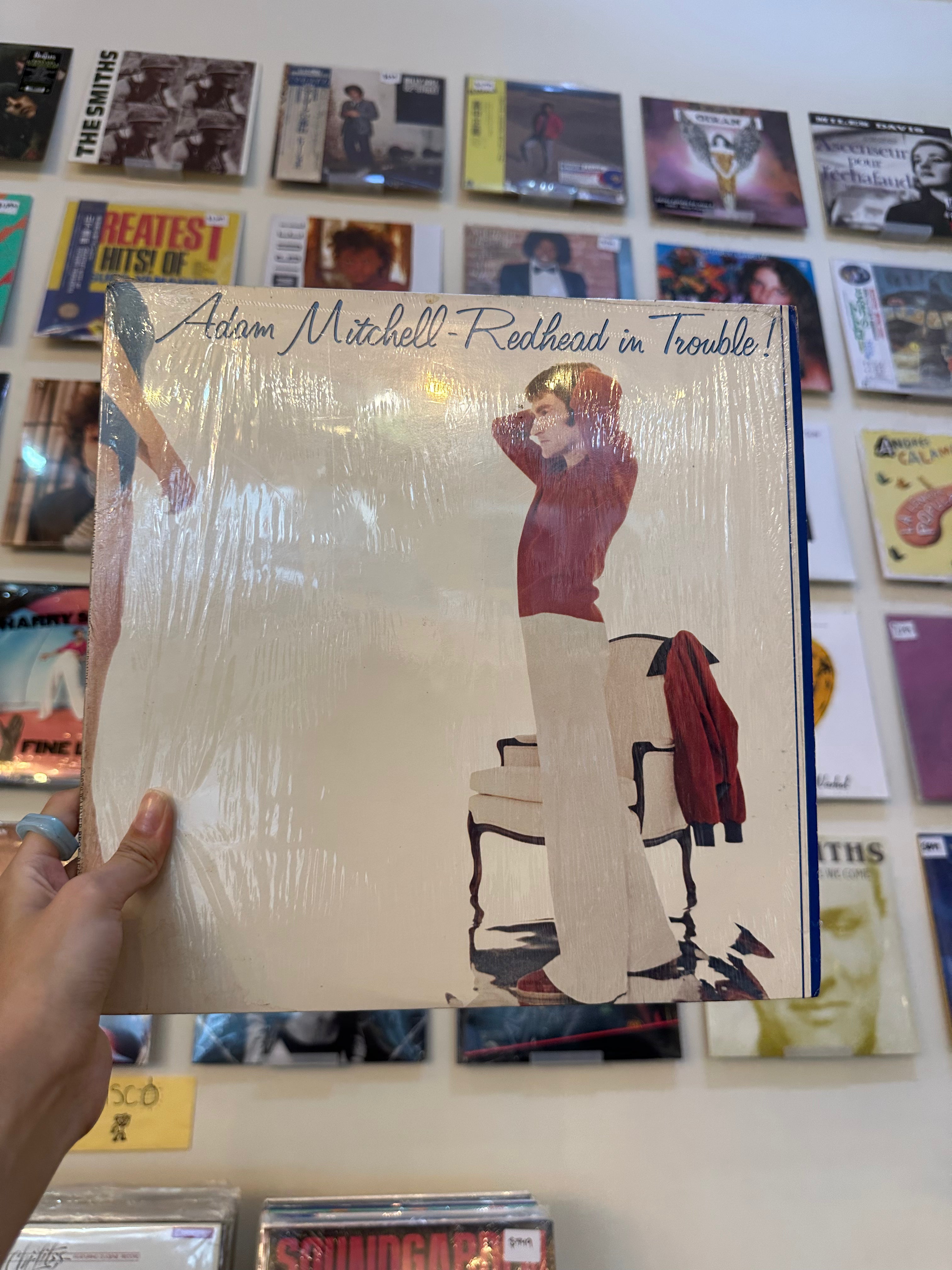 Adam Mitchell – Redhead In Trouble! (US 1979)