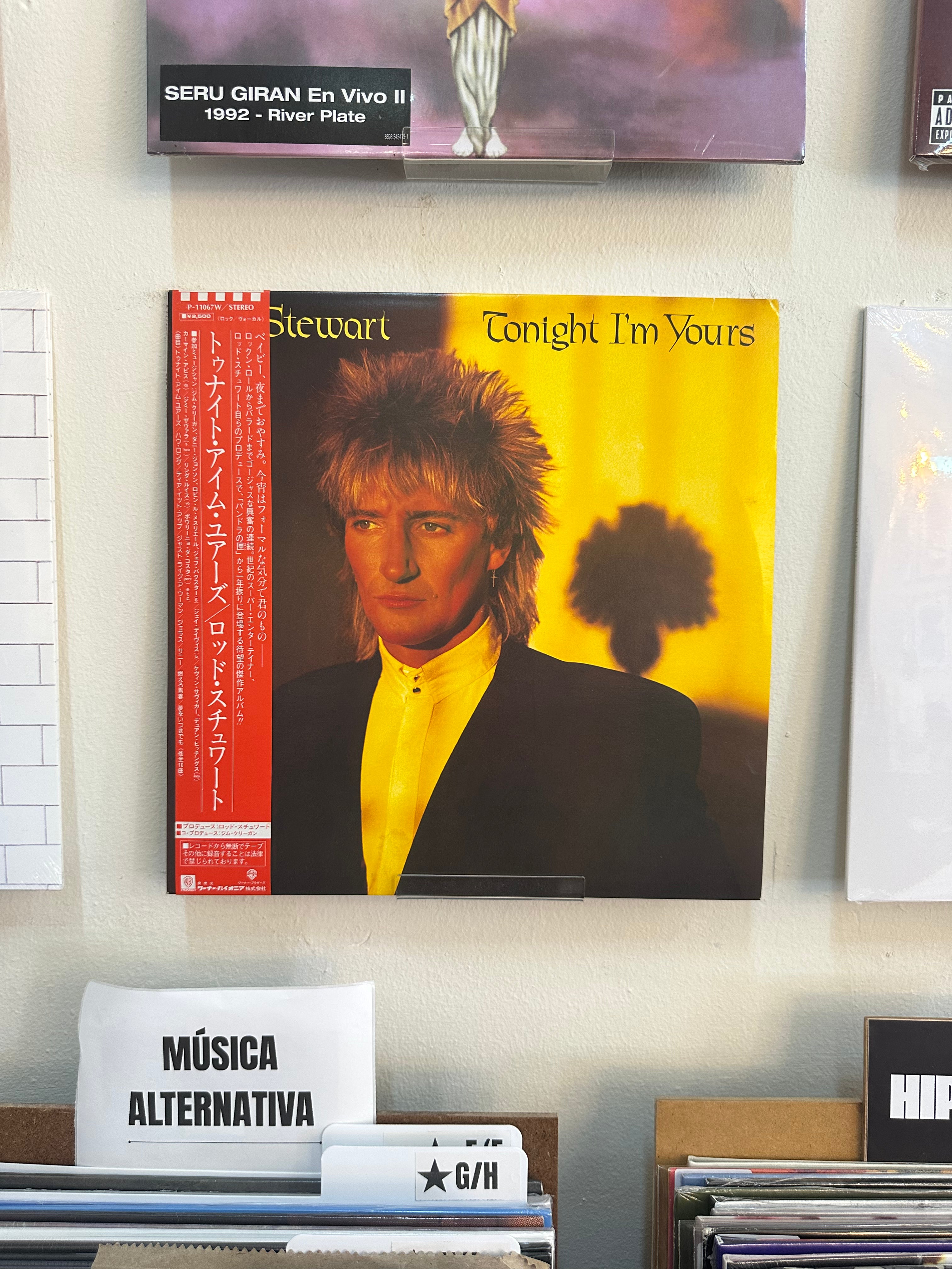 Rod Stewart – Tonight I'm Yours (JPN-1981)