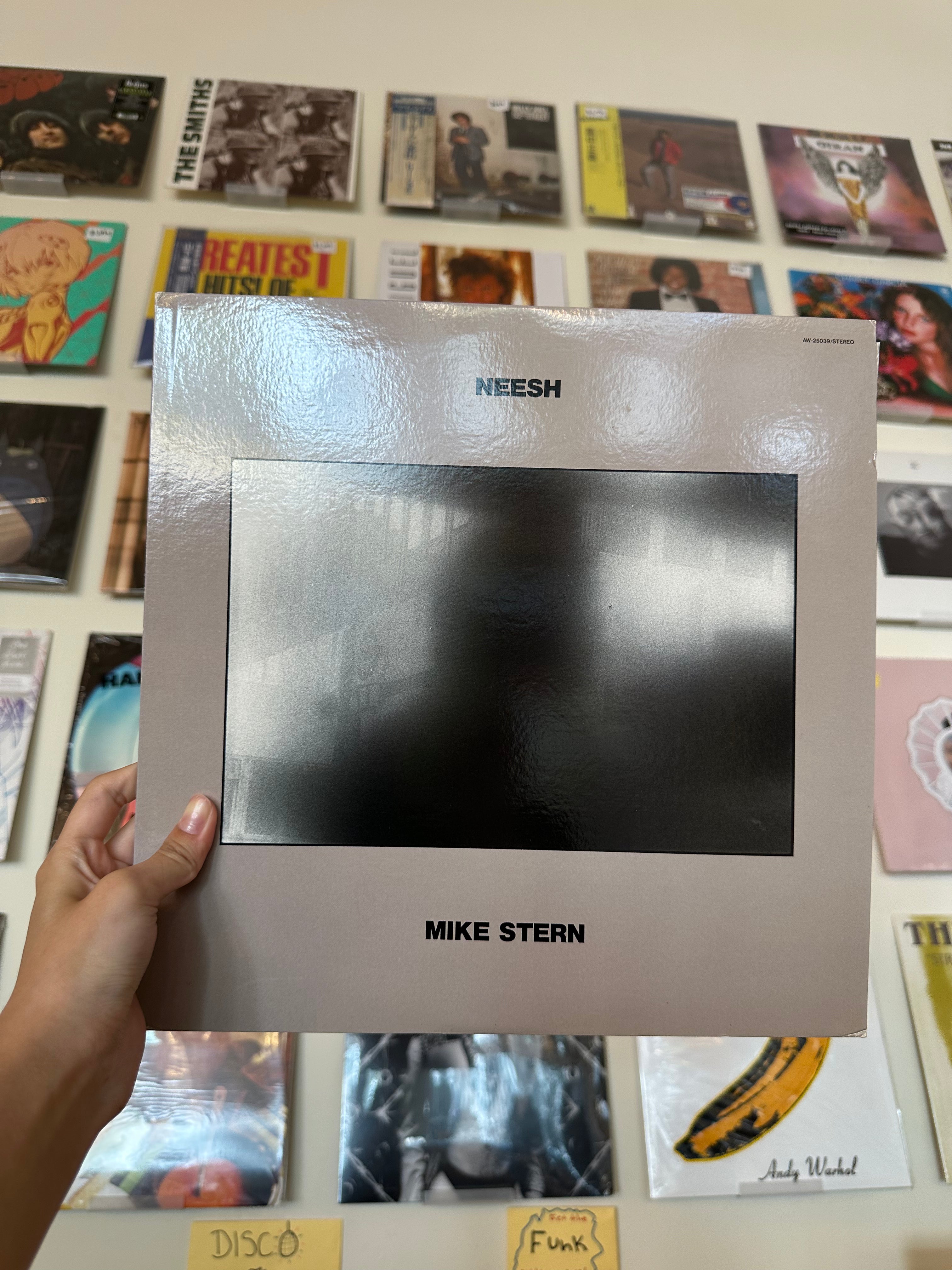 Mike Stern – Neesh (JPN 1983)