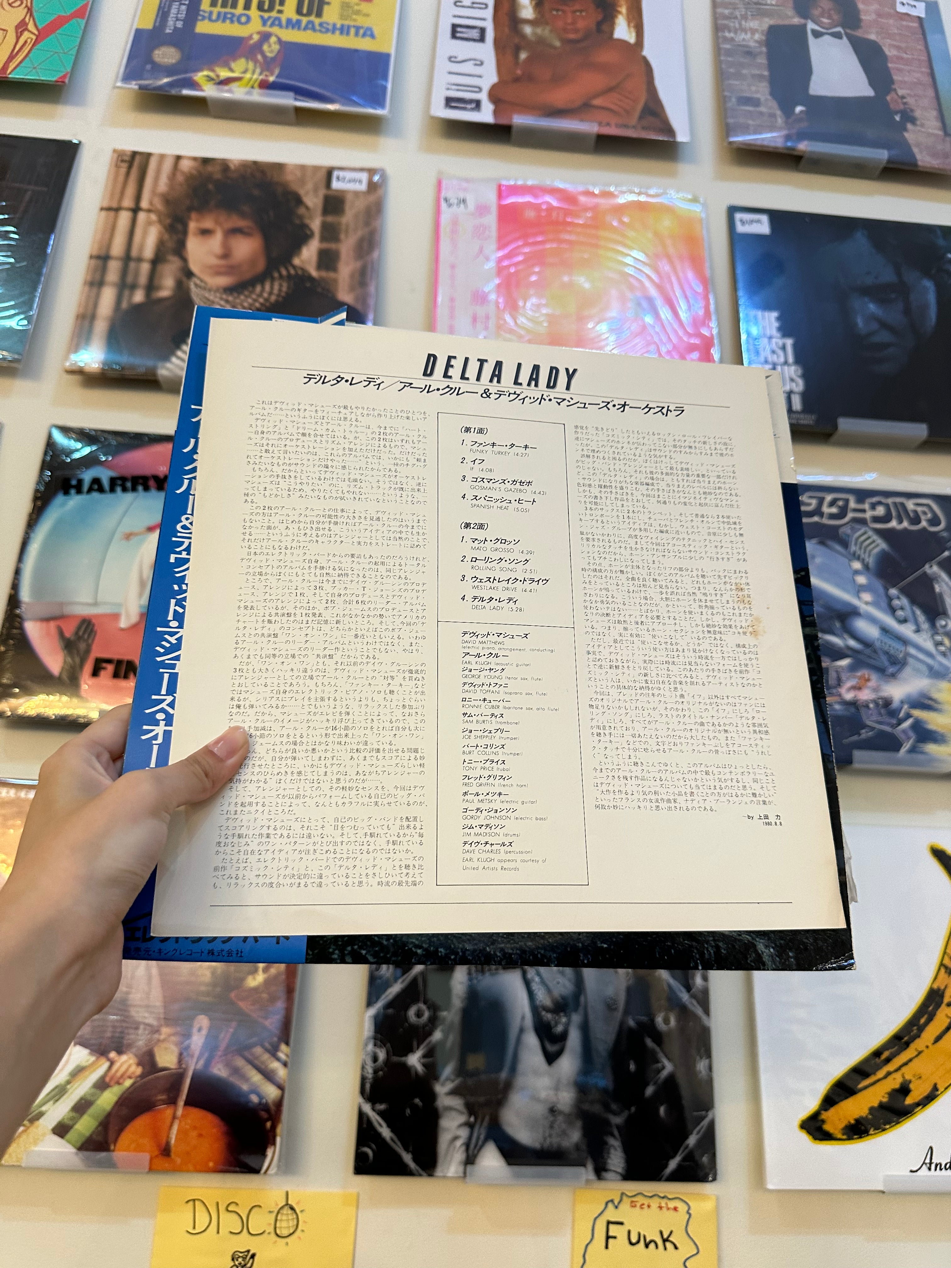David Matthews Orchestra – Delta Lady (JPN 1980)