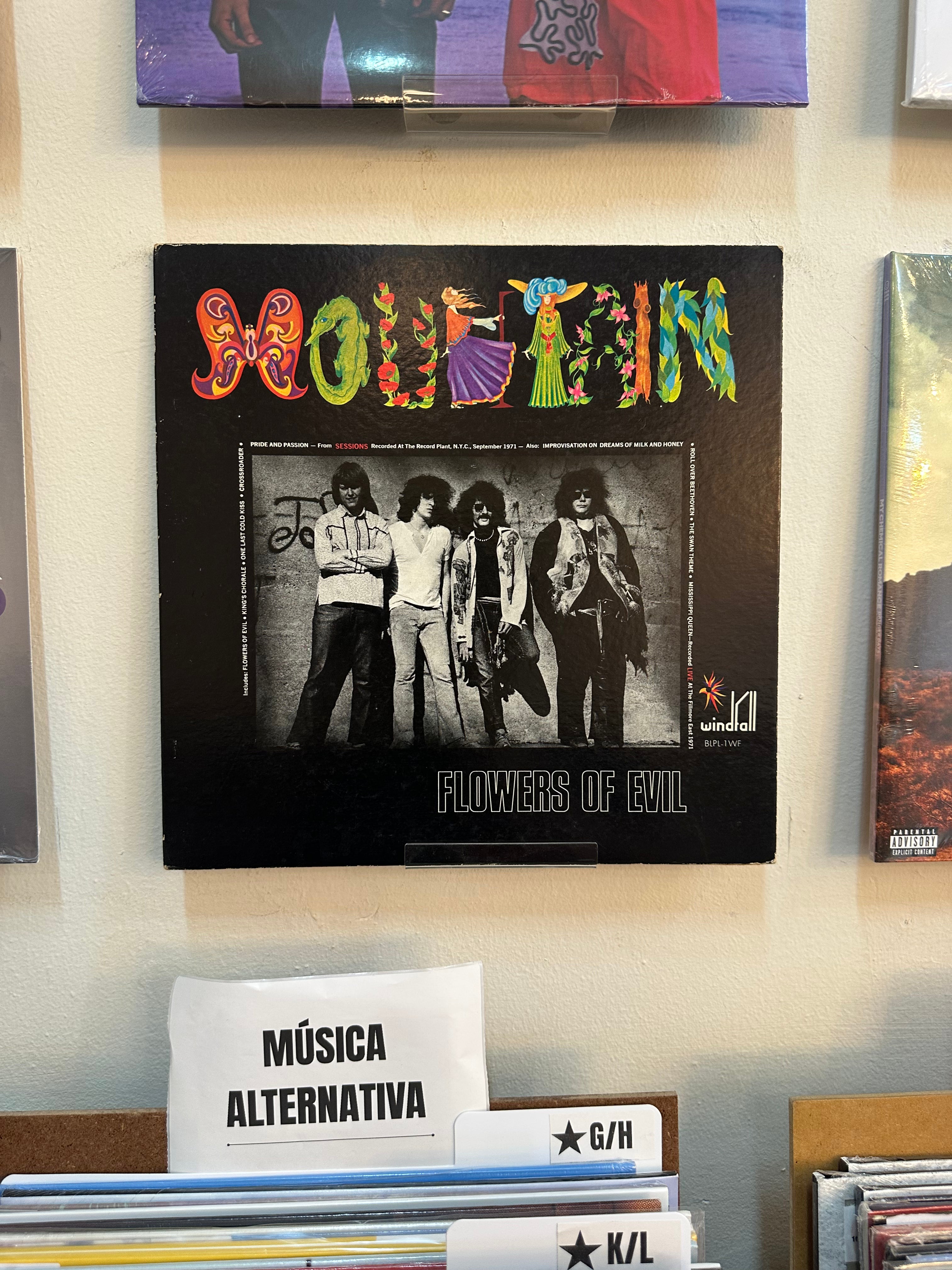 Mountain – Flowers Of Evil (JPN-1972)