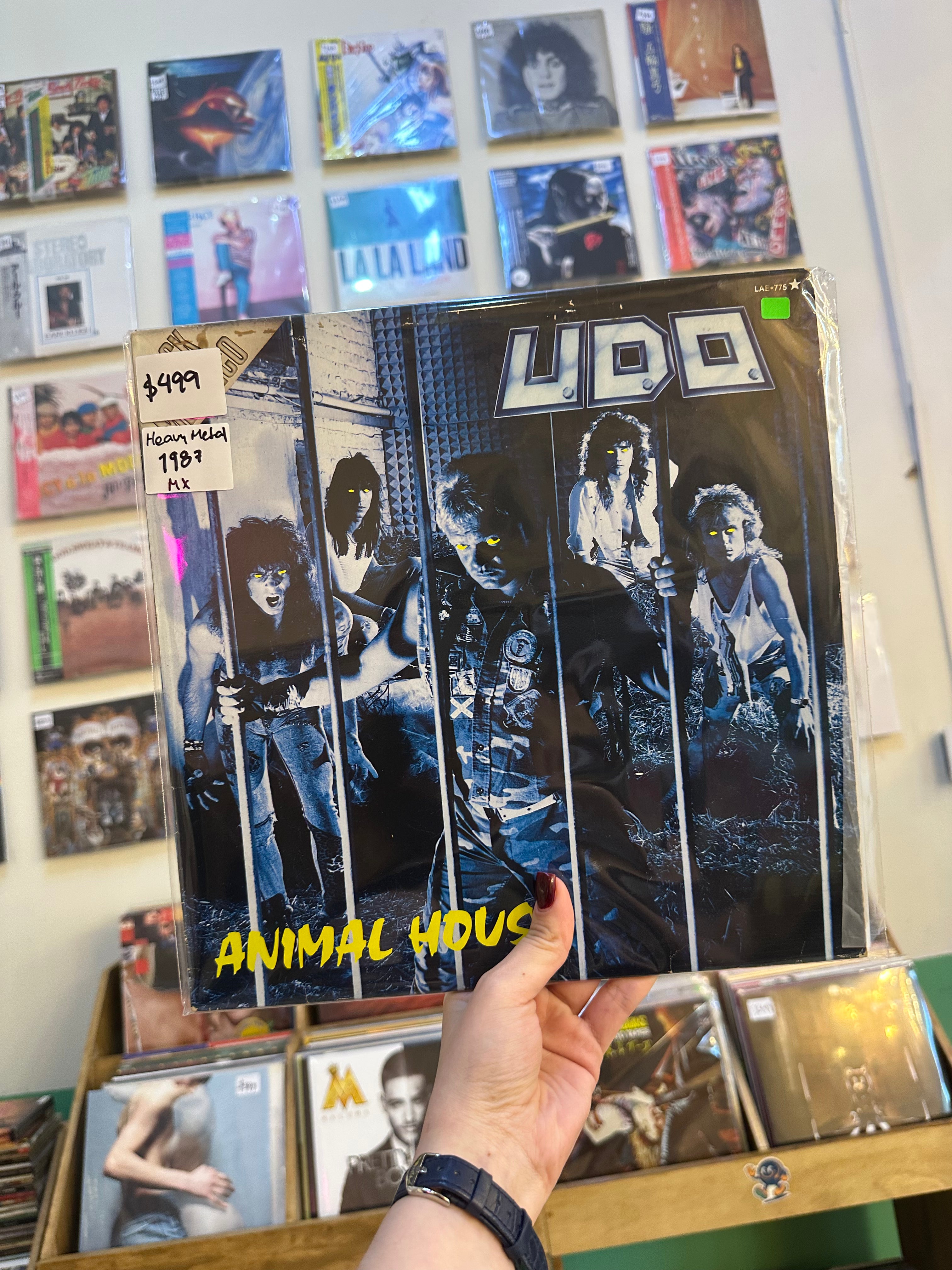 U.D.O. (2) - Animal House