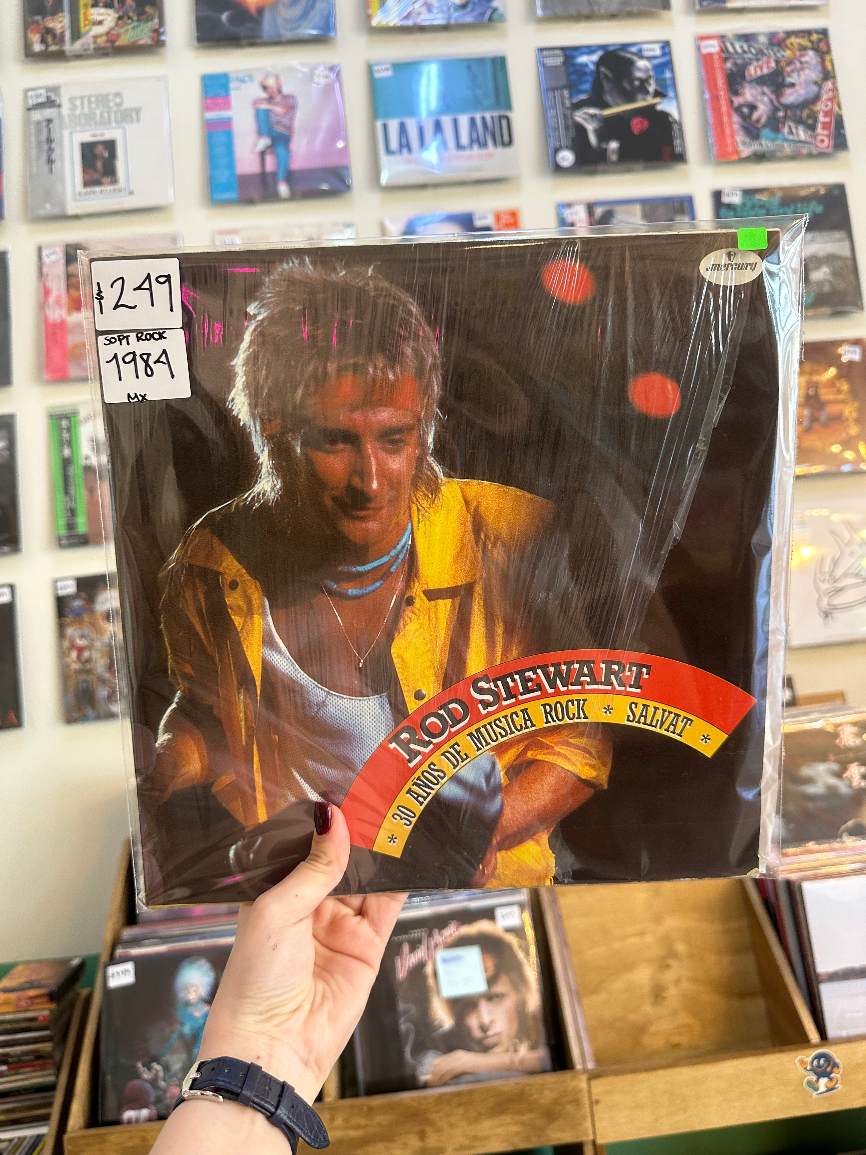 Rod Stewart – 30 Años De Musica Rock Salvat - Every Picture Tells A Story (MX-1984)