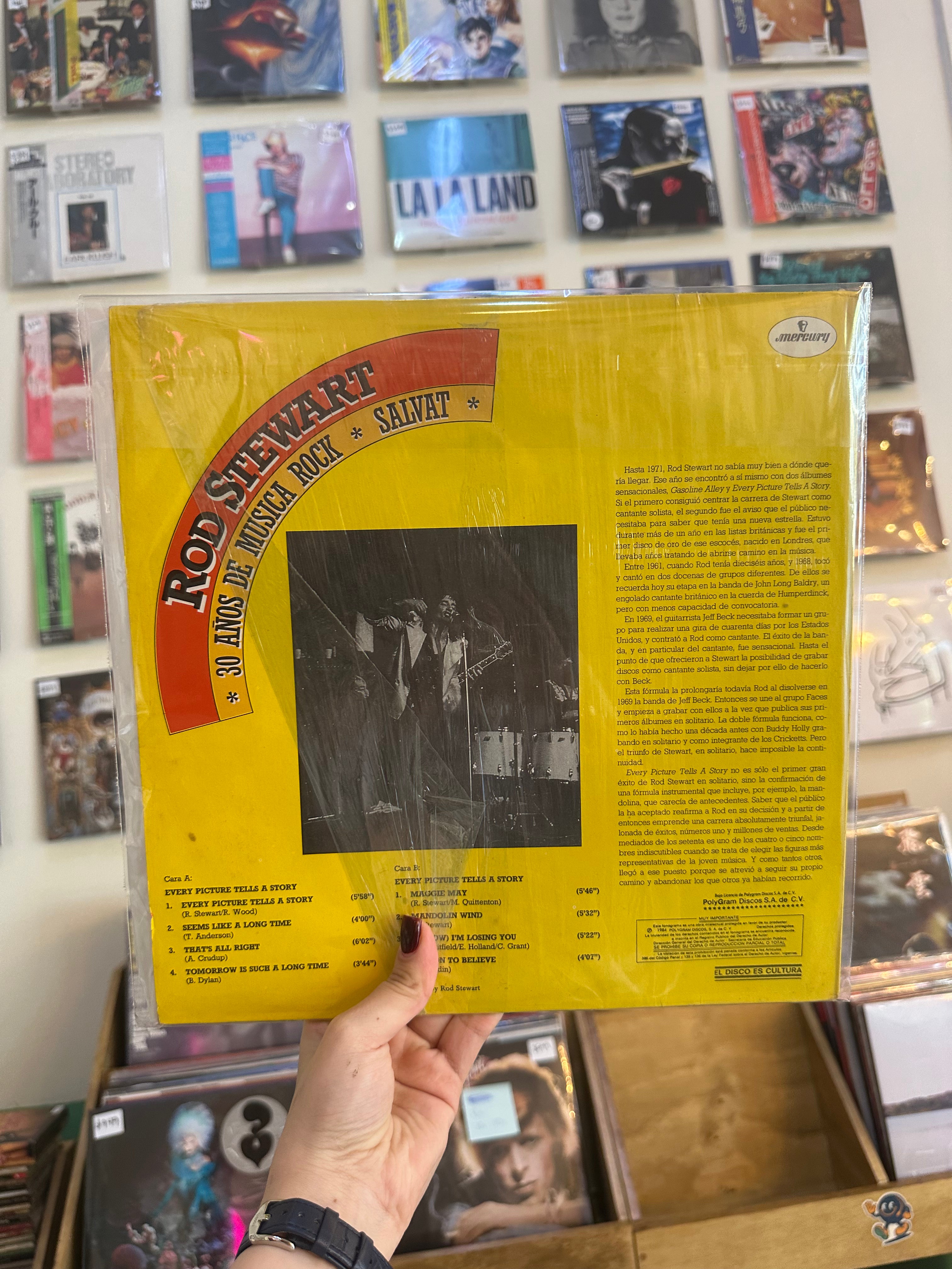Rod Stewart – 30 Años De Musica Rock Salvat - Every Picture Tells A Story (MX-1984)