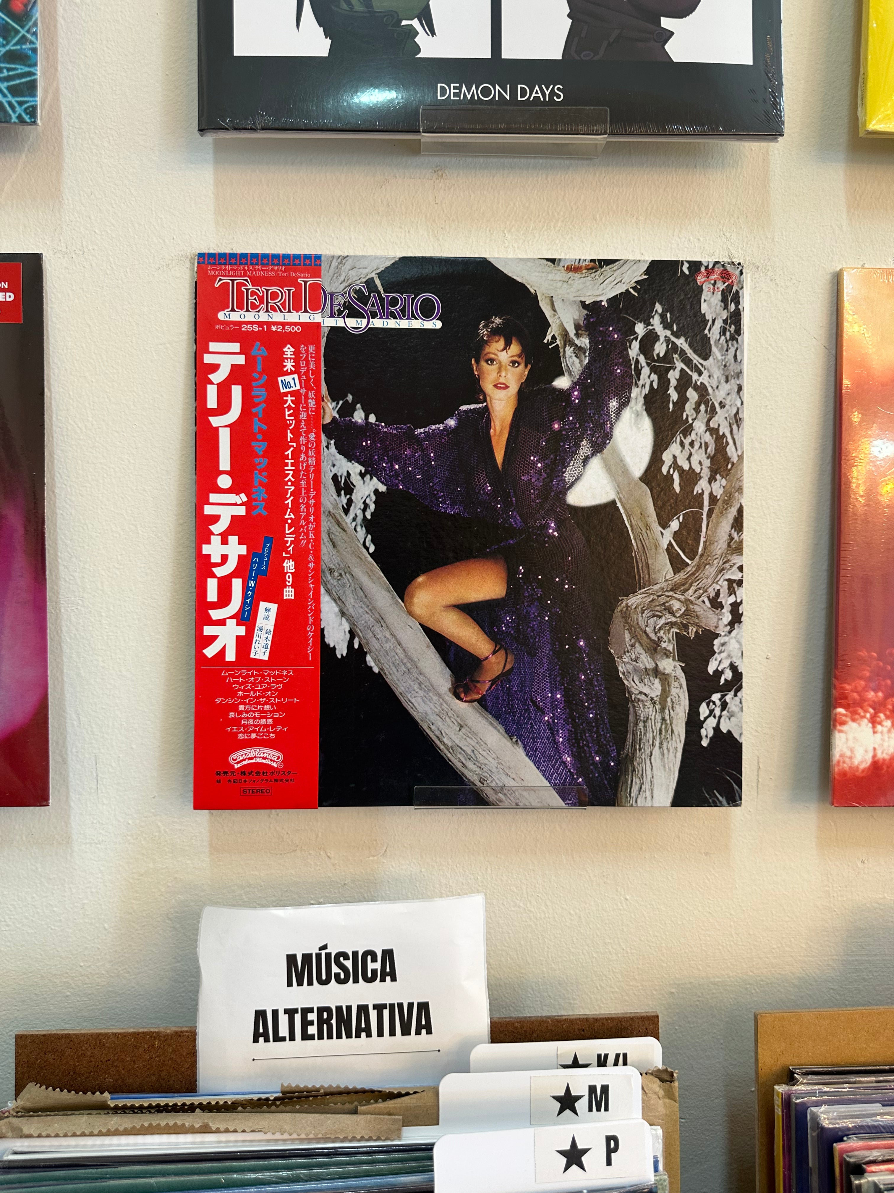 Teri DeSario – Moonlight Madness (JPN-1980)
