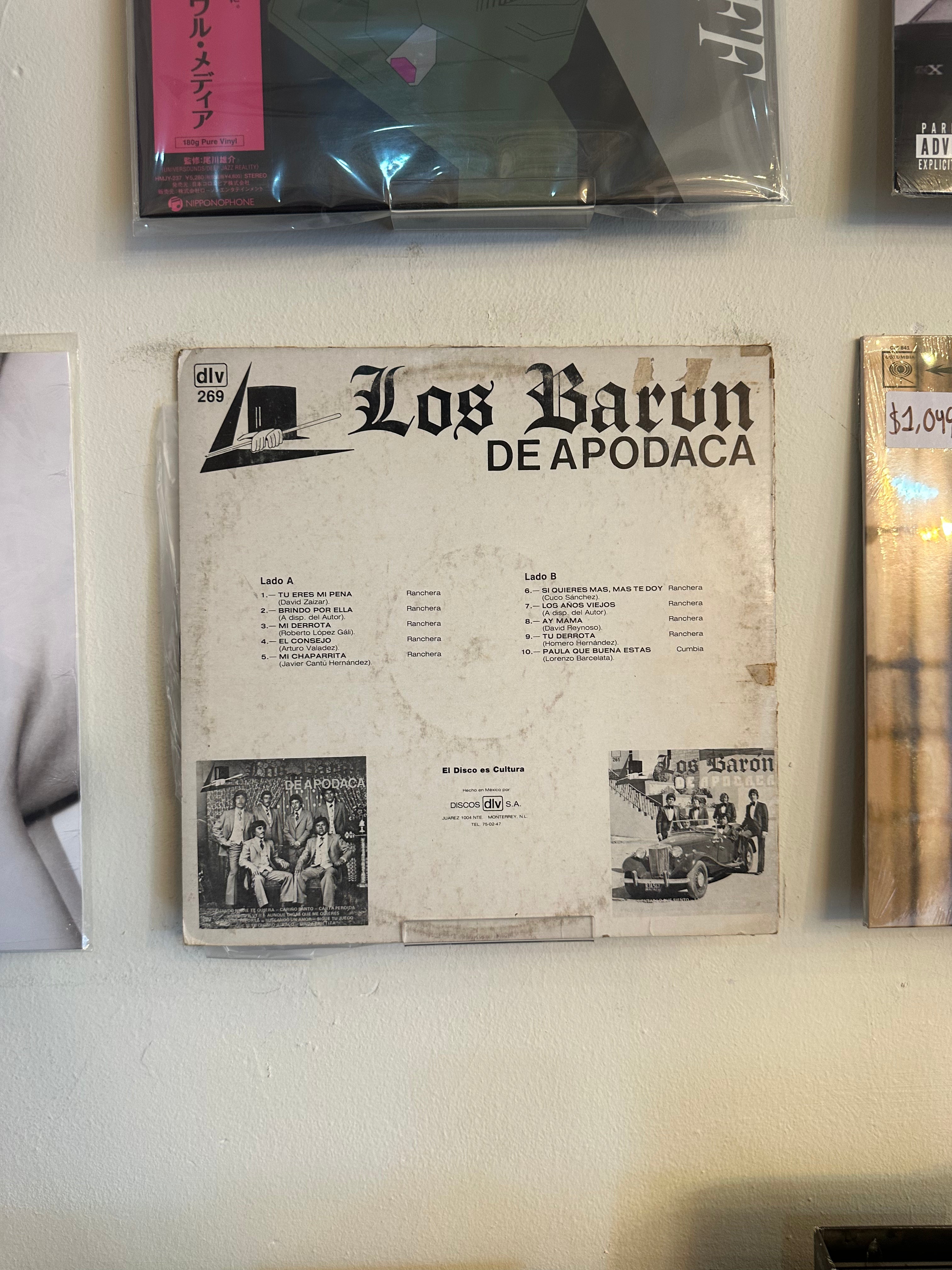 Los Barón de Apodaca – Tu Eres Mi Pena (MX-1981)