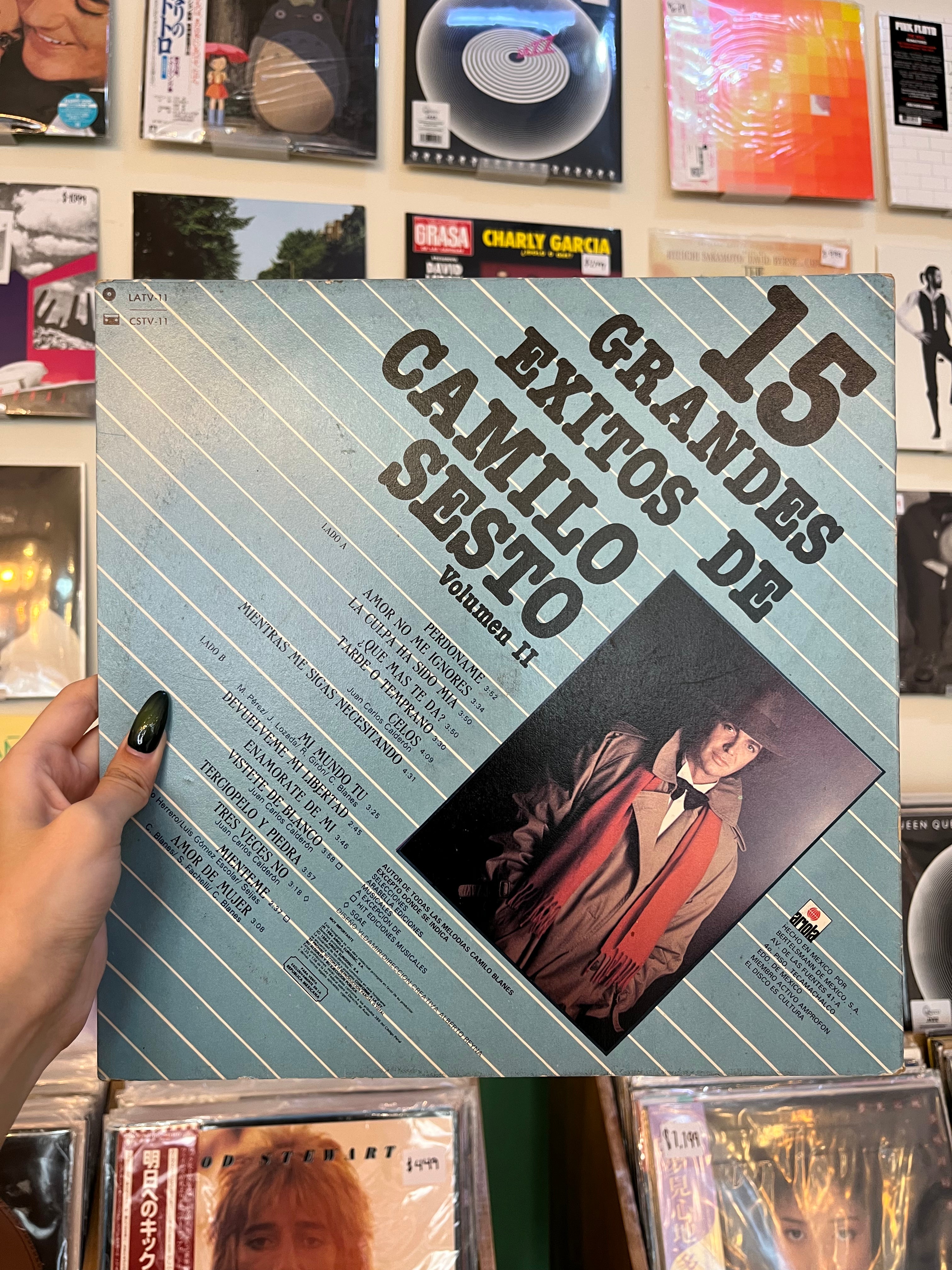 Camilo Sesto – 15 Grandes Éxitos de Camilo Sesto Volumen II (MX-1982)