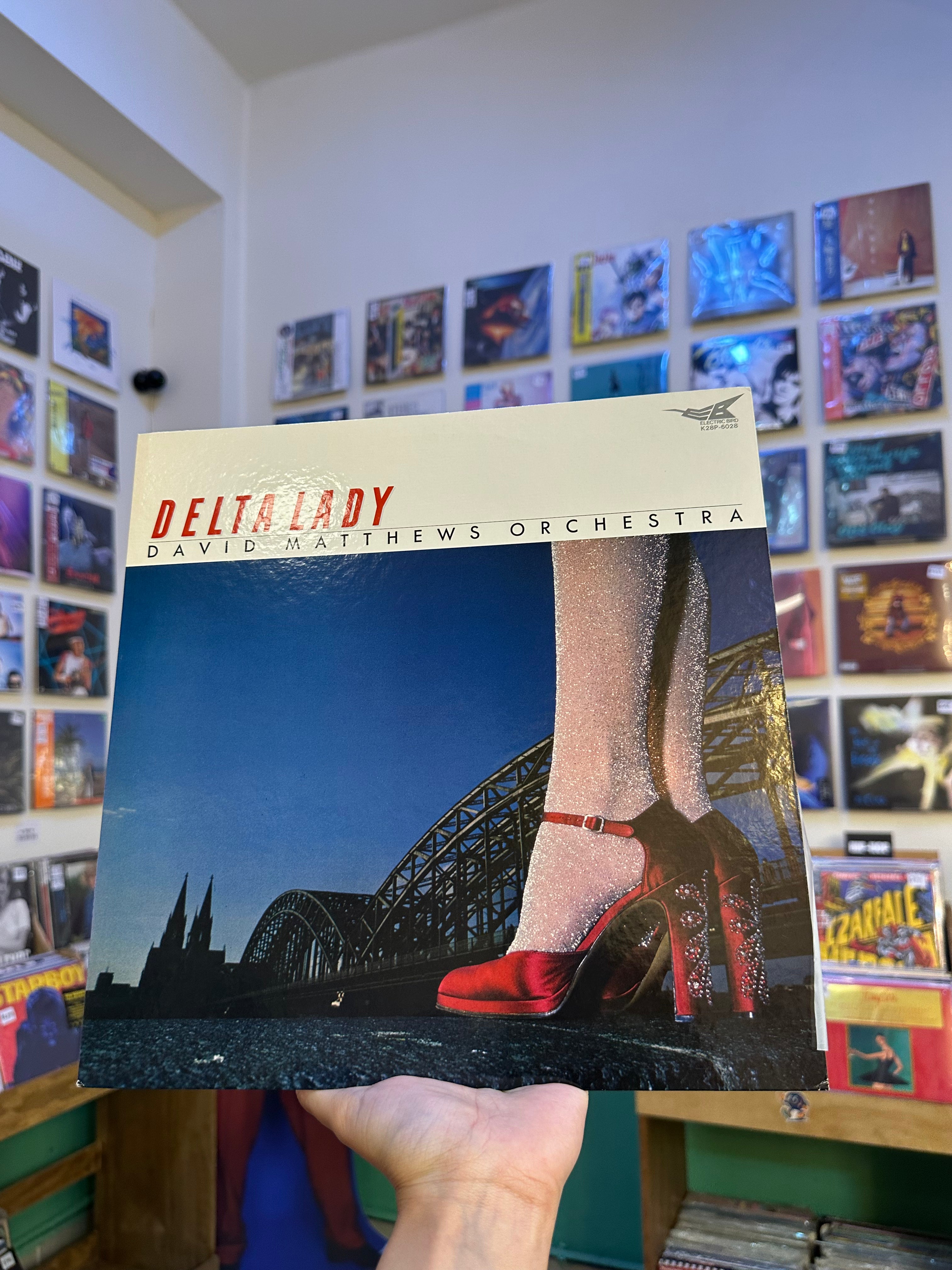 David Matthews Orchestra – Delta Lady (JPN-1980)