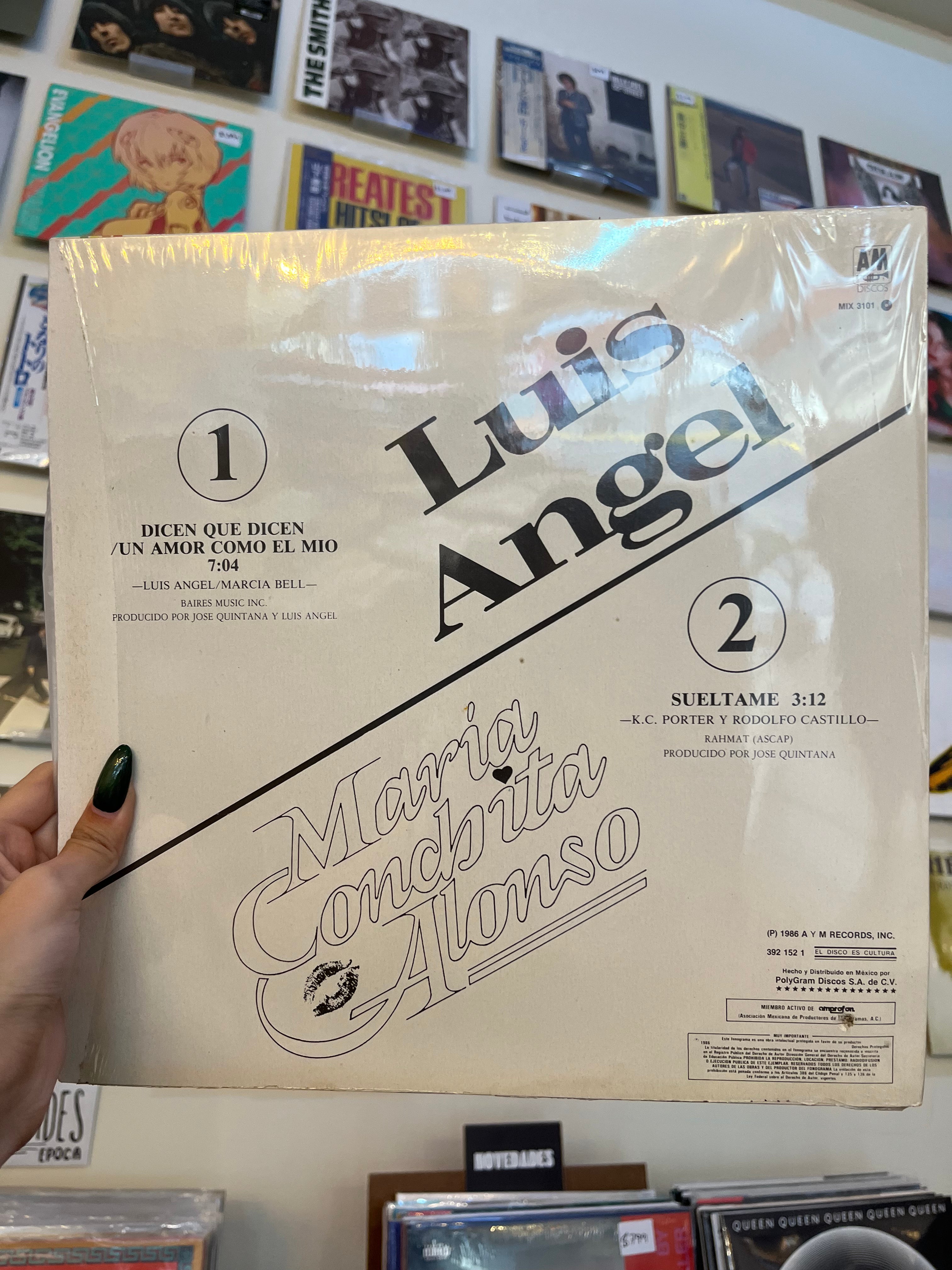 MARIA CONCHITA ALONSO Y LUIS ANGEL