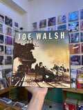 Joe Walsh – You Bought It - You Name It (USA-1983)