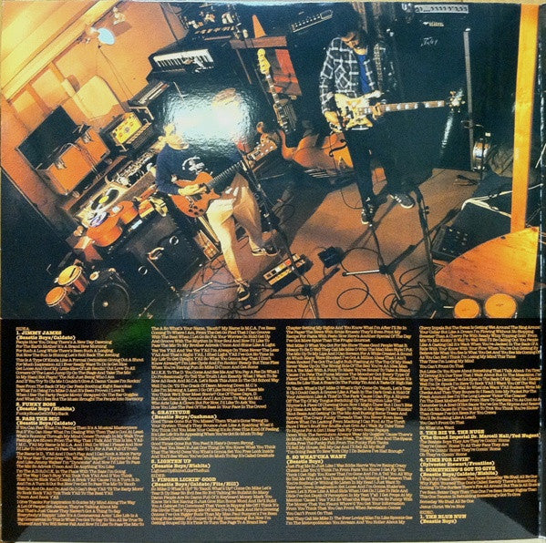 Beastie Boys Check Your Head contraportada