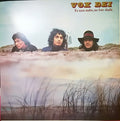 VOX DEI - ES UNA NUBE NO HAY DUDA