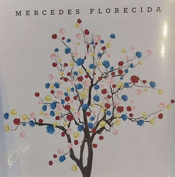 SOSA MERCEDES - MERCEDES FLORECIDA