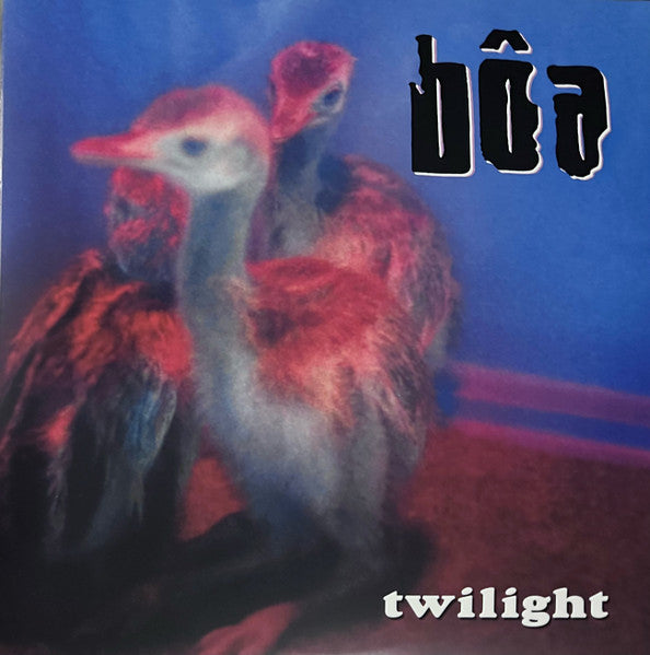 boa – Twilight