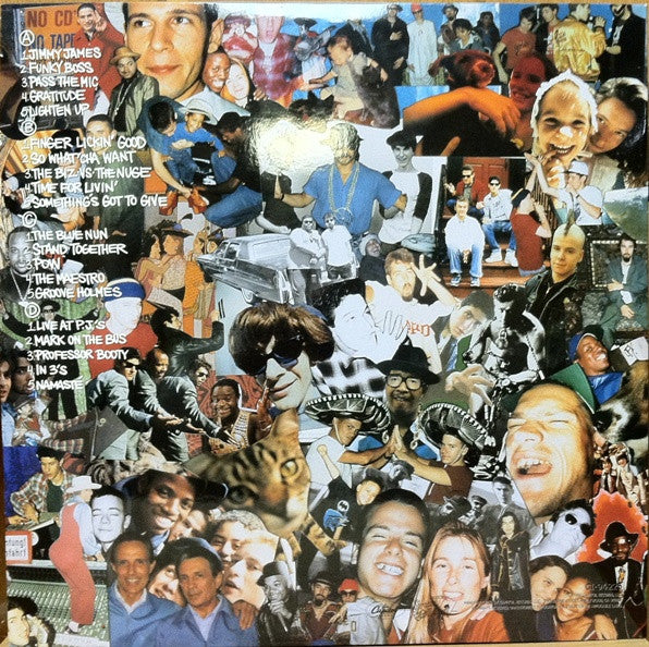 Beastie Boys Check Your Head gatefold