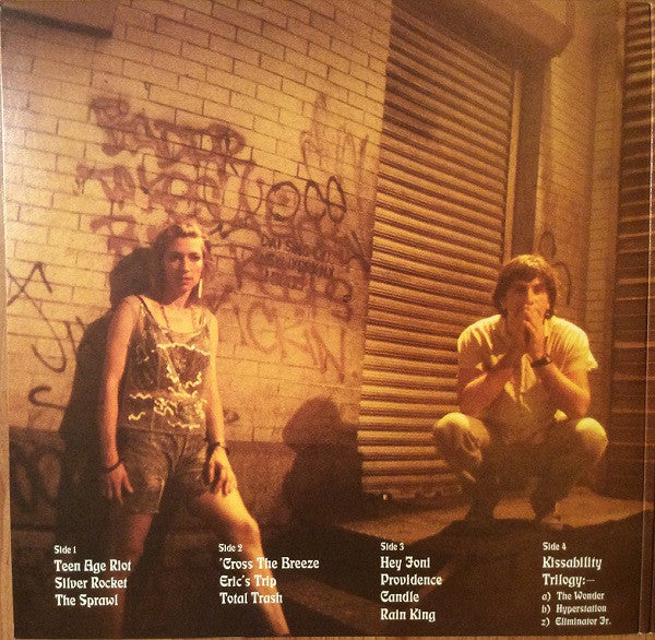 Sonic Youth Daydream Nation contraportada