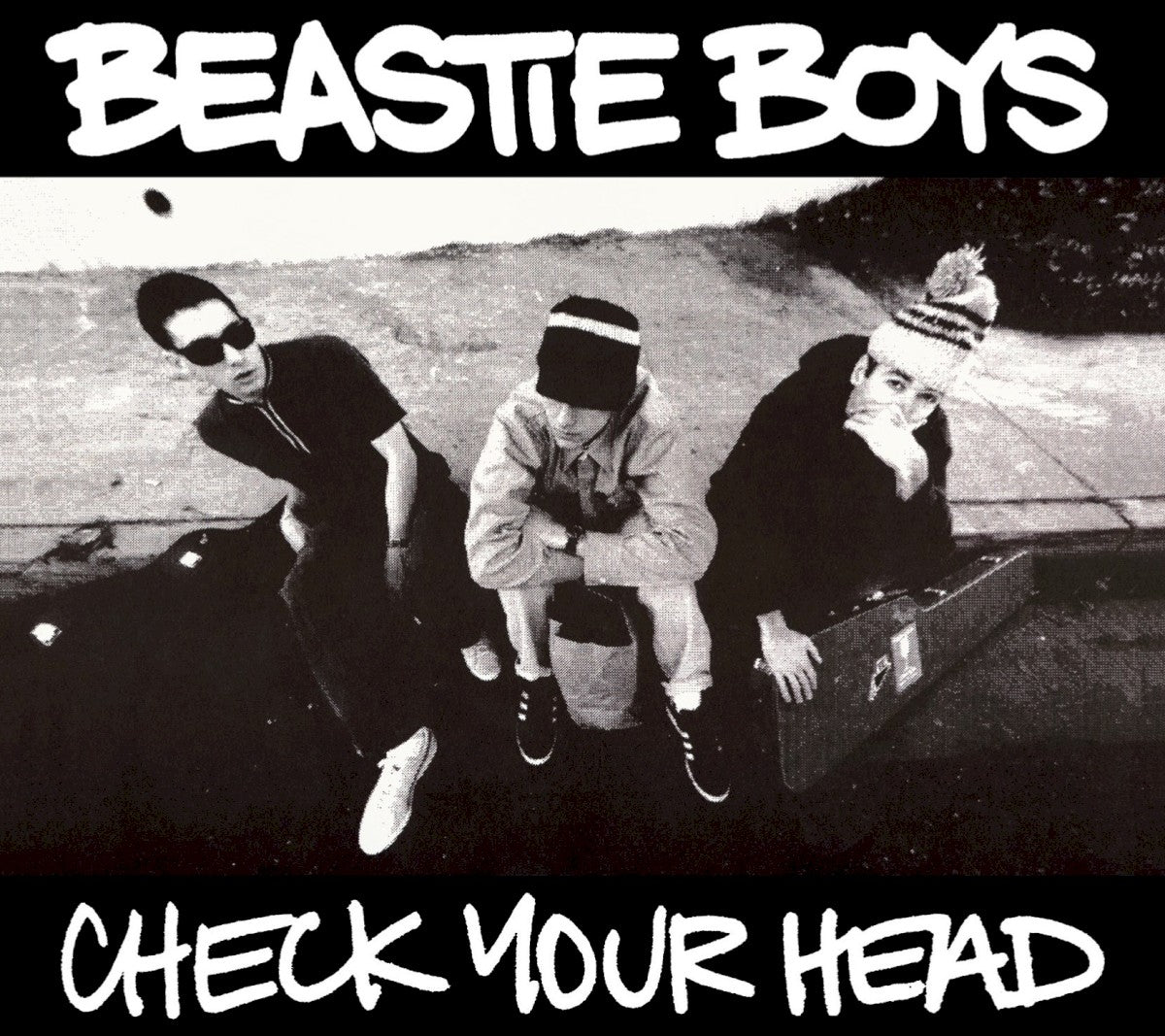 BEASTIE BOYS - Check Your Head