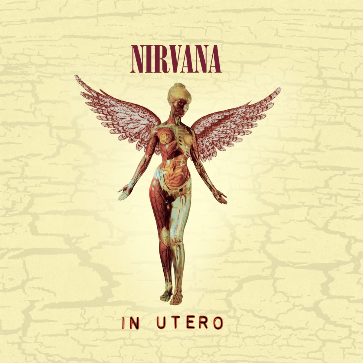 NIRVANA - In Utero